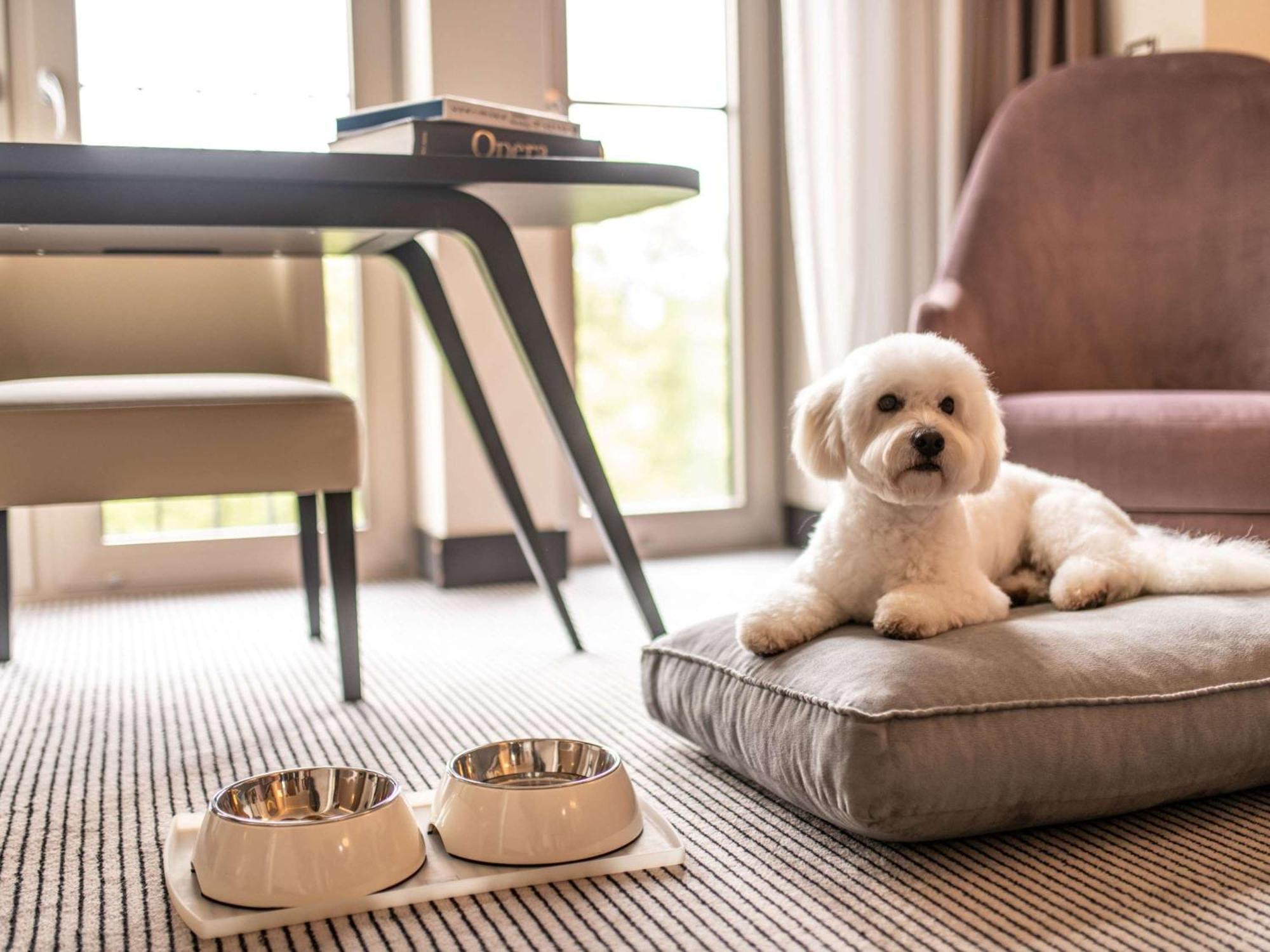 Готель Sofitel Frankfurt Opera Франкфурт-на-Майні Екстер'єр фото A dog at the Mandarin Oriental, Munich